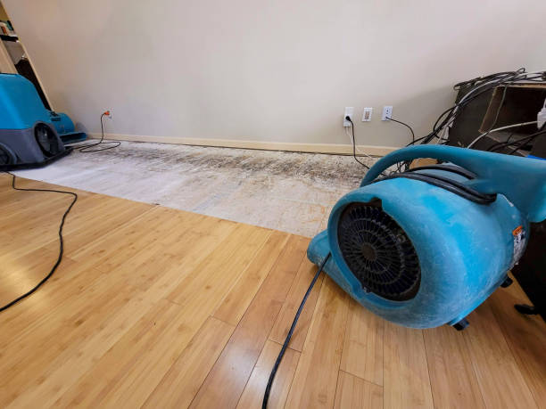 Professional Water Damage Repair technician working in Pine Grove, PA